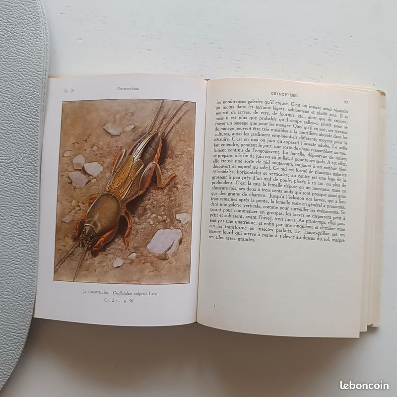 Livre Ancien Les Insectes Tome II - Paul-A. Lachaux - Delachaux & Niestlé 1946
