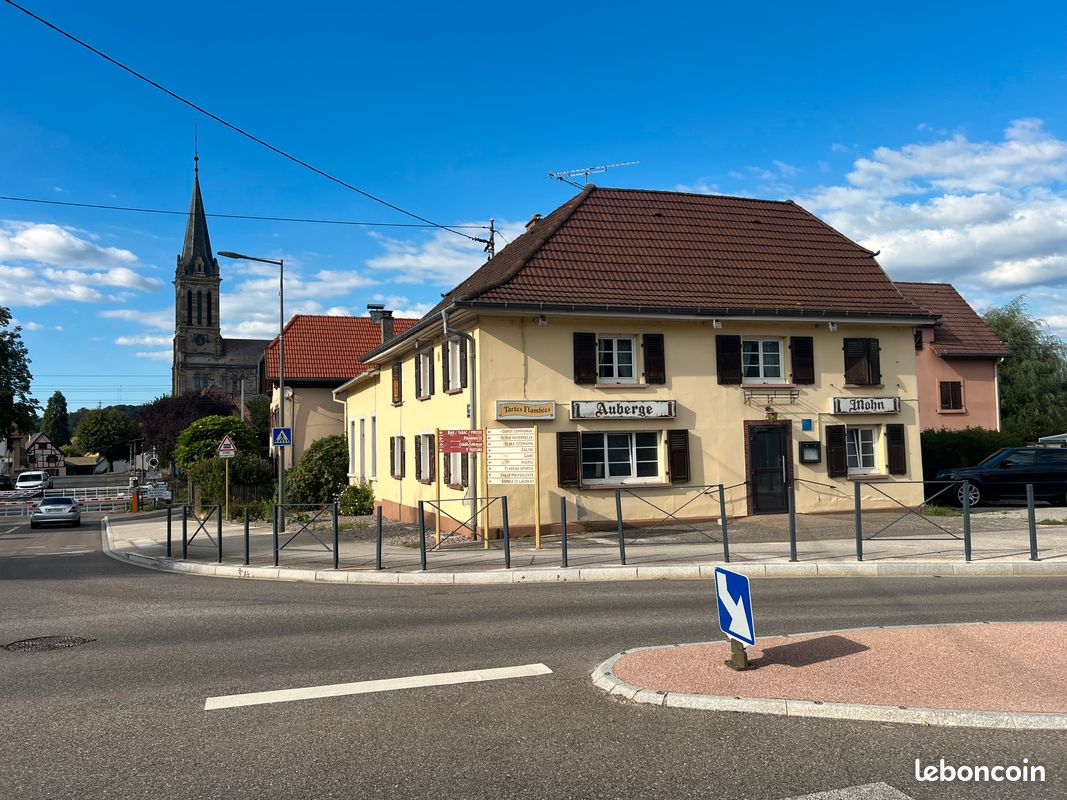 Maison 10 pièces 500 m² · à Zillisheim · 500 m² · 540 000 €