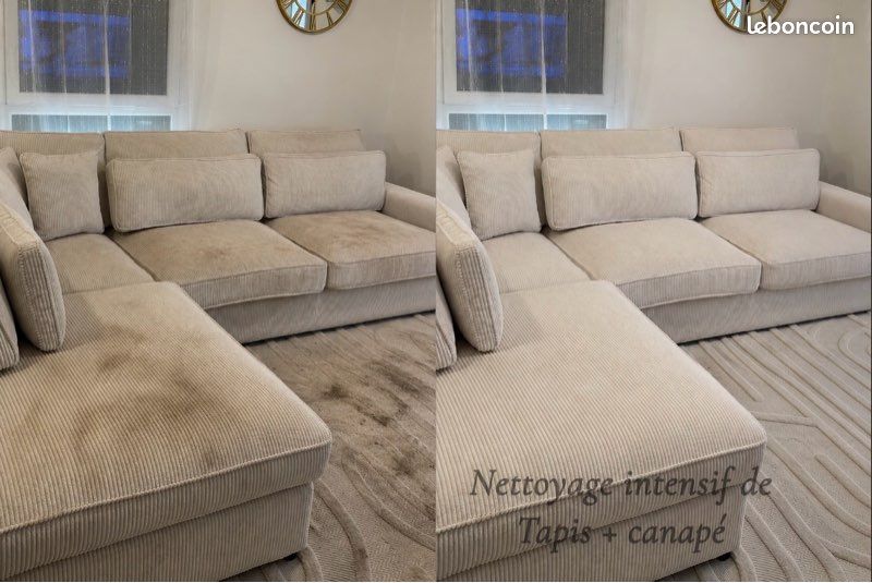 Nettoyage en profondeur – Canapés, matelas, tapis & sièges auto (image 3)