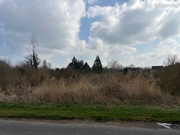 Terrain pour plantation de peupliers