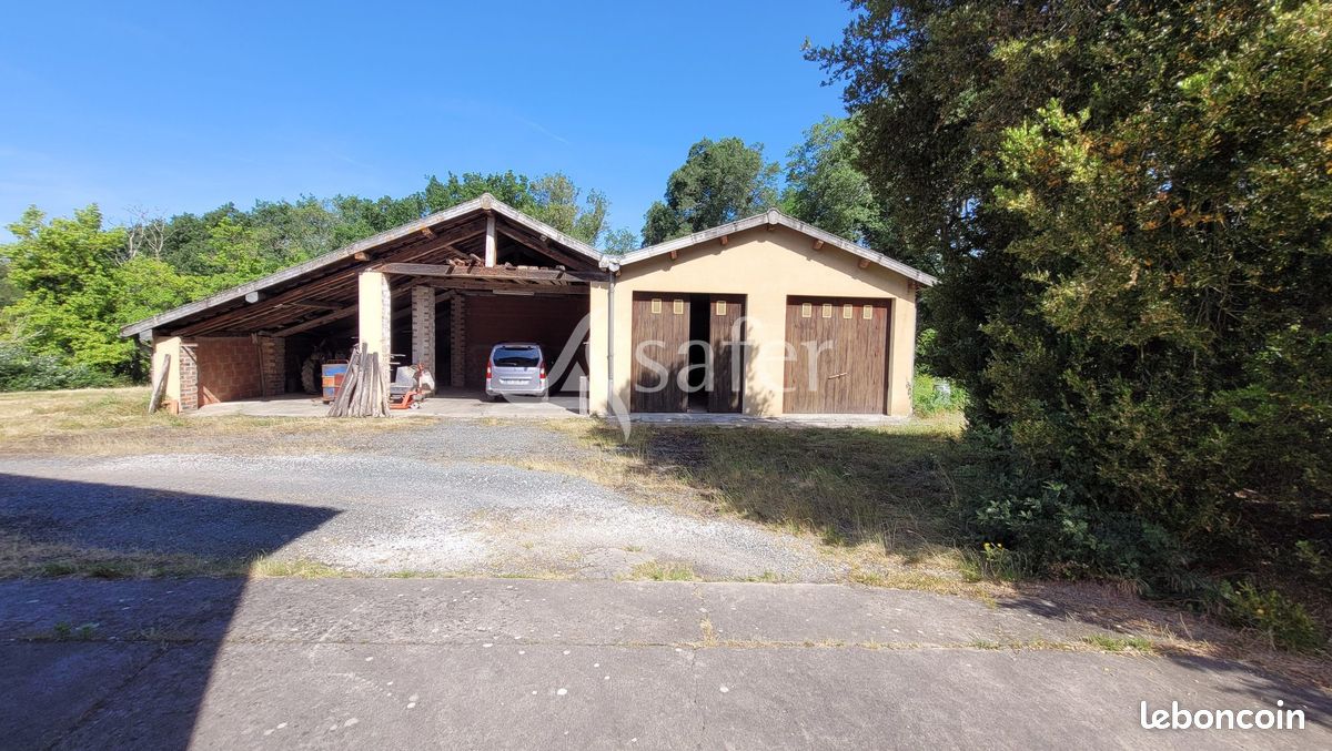 Propriété 290 m² Castres (image 9)