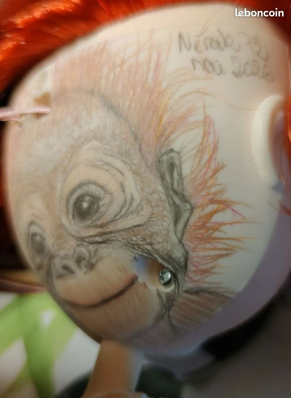À vendre poupée blythe personnalisée signée et numerotée, nommée Leeloo (image 13)