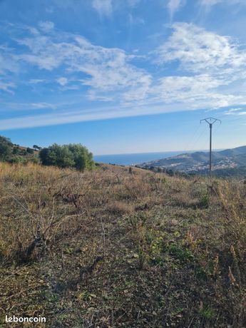 Terrain 2975 m² Banyuls-sur-Mer