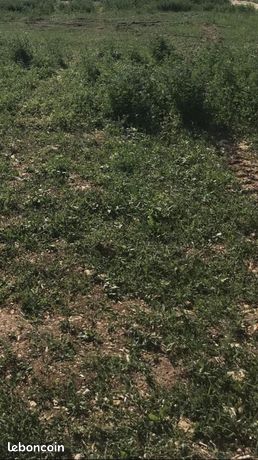 Terrain 658 m² Fontaines