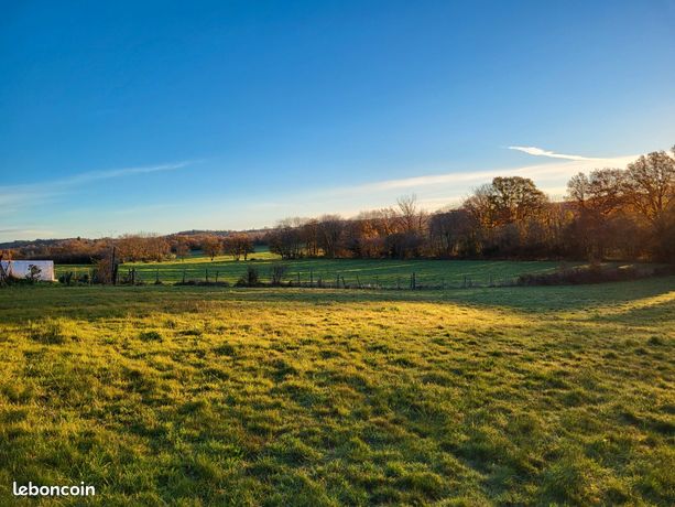 Terrain Terrain 4250 m2 les Noyers 63410 Manzat