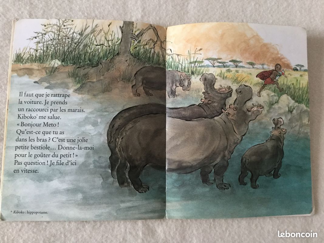 Livre enfant "y a t il des ours en Afrique ?" de Satomi Ichikawa (image 4)