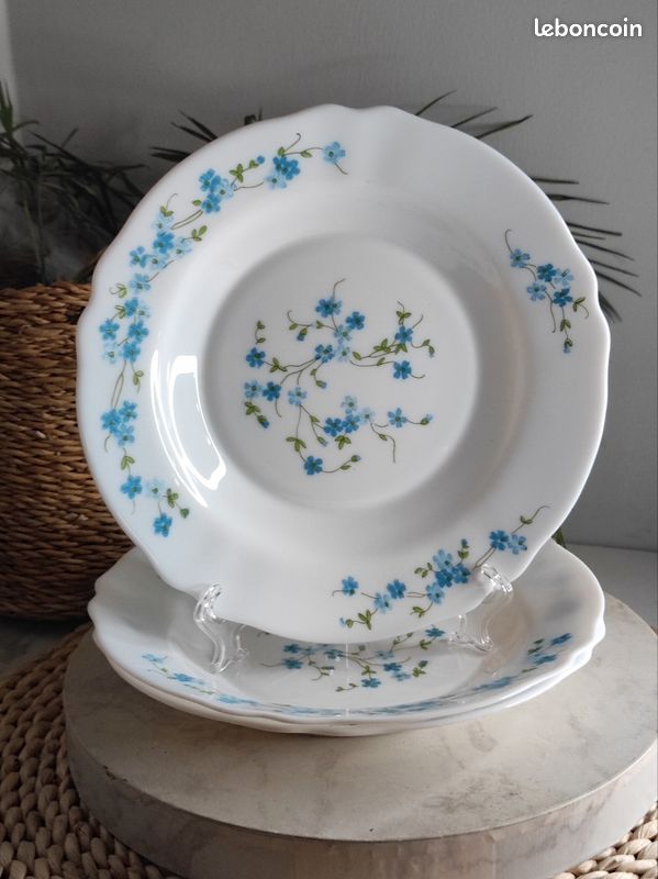 ASSIETTES PLATES X 6  Arcopal , oignons bleus, pièce vintage, made in