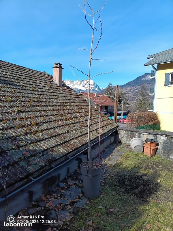 Arbre Hybride Golf Oban Oi-Series Extra Rigide - Longueur 40 Pouces - Fer Graphite - Occasion Léger