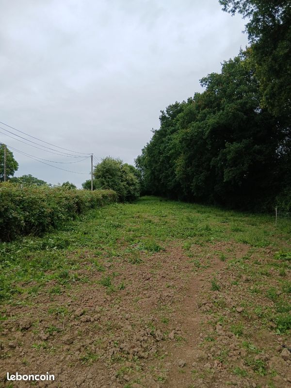 Terrain de loisirs (image 1)