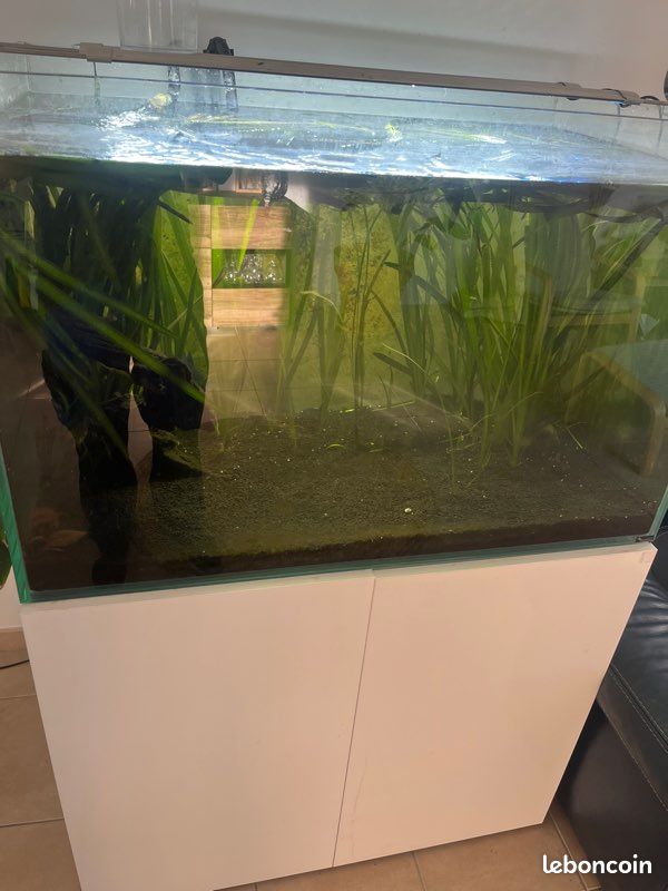 Aquarium 400l (image 1)