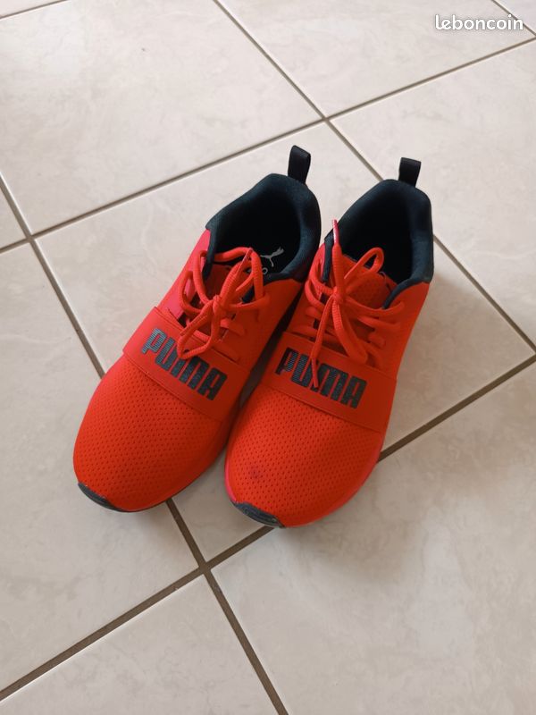 Puma (image 1)