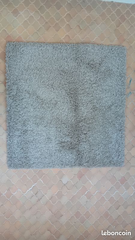 Tapis beige (image 1)