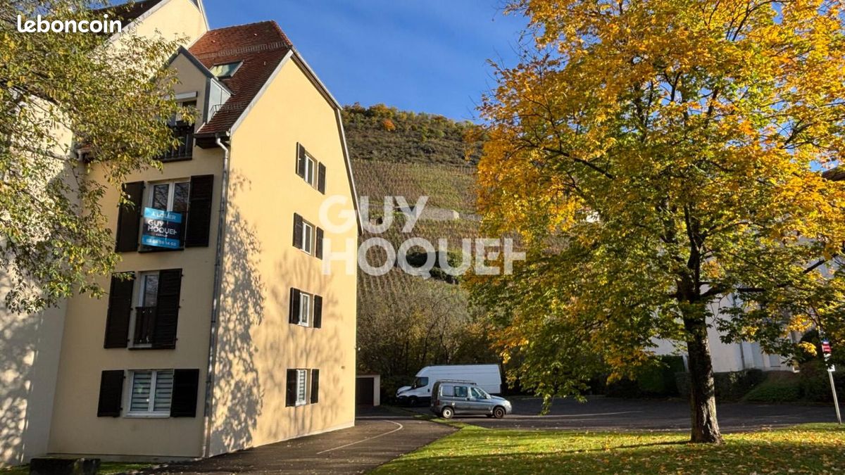 Appartement 2 pièces 42 m² · à Thann · 42 m² · 545 €
