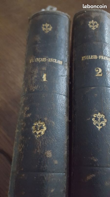 2 dictionnaires , français anglais (image 1)
