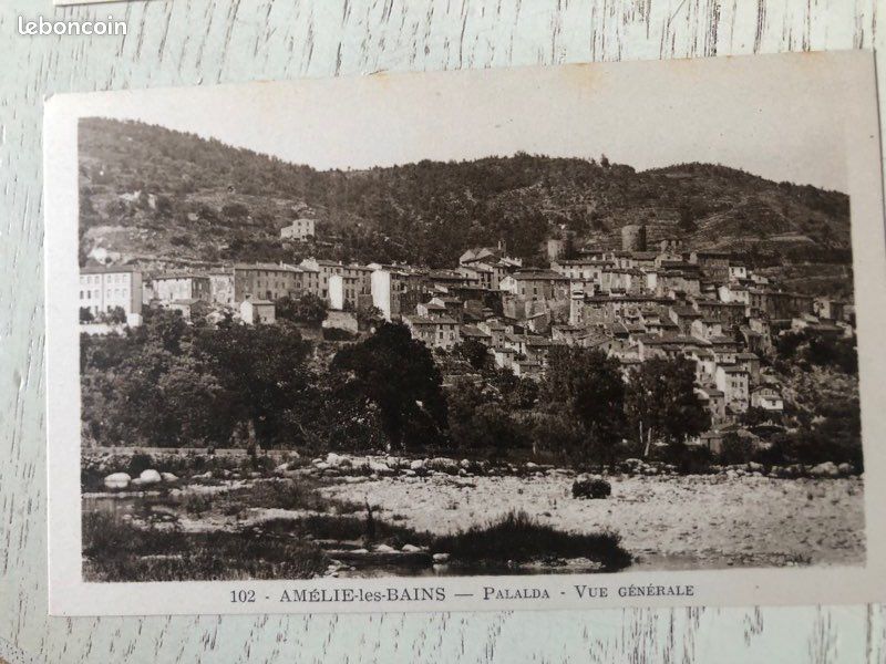 CPA 66 AMELIE LES BAINS VUE SUR LA RIVE DROITE DU TEICH ET LE FORT