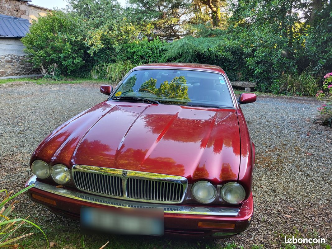 Jaguar sovereign (image 1)