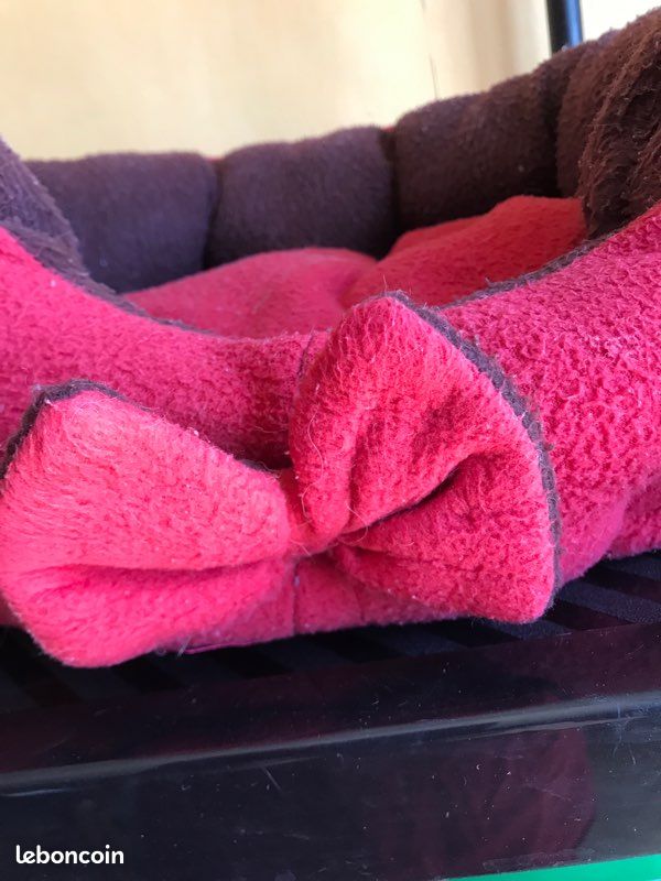 Couchage pour chien ou chat (image 3)
