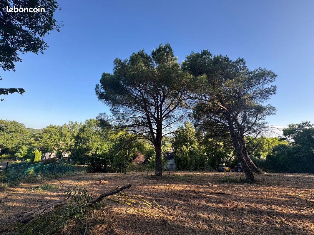 Terrain 3645 m² · à Cornebarrieu · 199 000 €