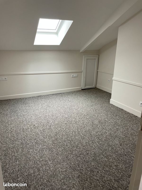 Loft T3 hypercentre - Limoges 87000 (image principale 1)