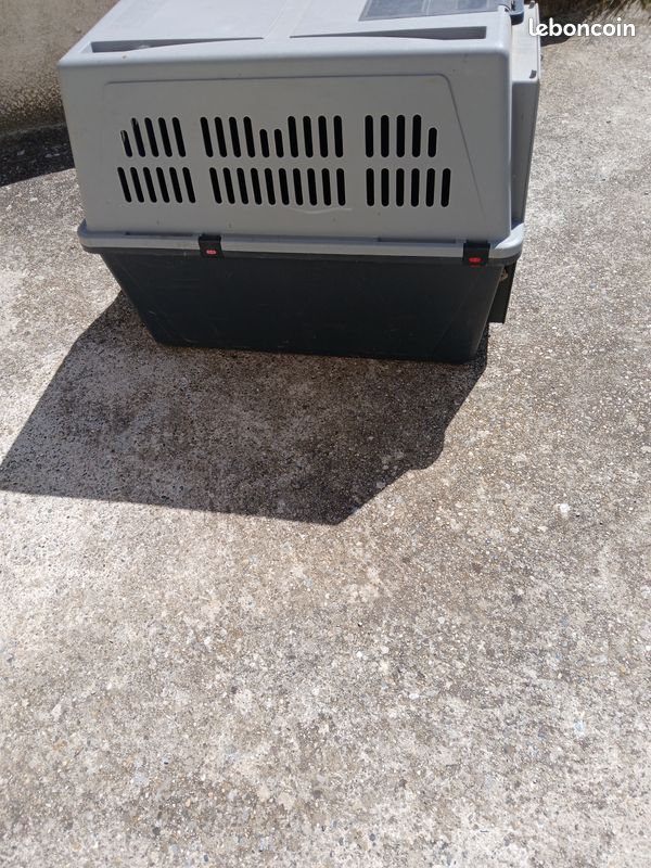 Caisse chien (image 2)