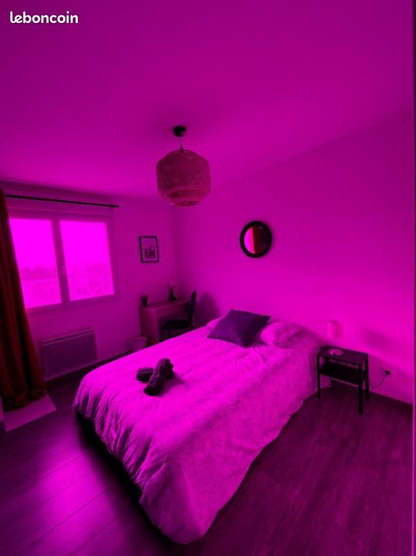 Appartement 4 pièces 73 m² - Pessac 33600 (image principale 5)
