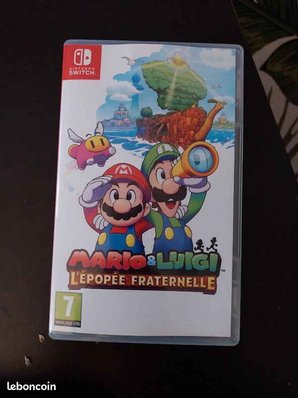Mario et Luigi l'épopée fraternelle (image 1)
