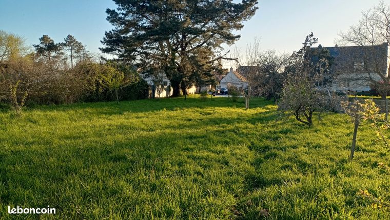 Terrain constructible