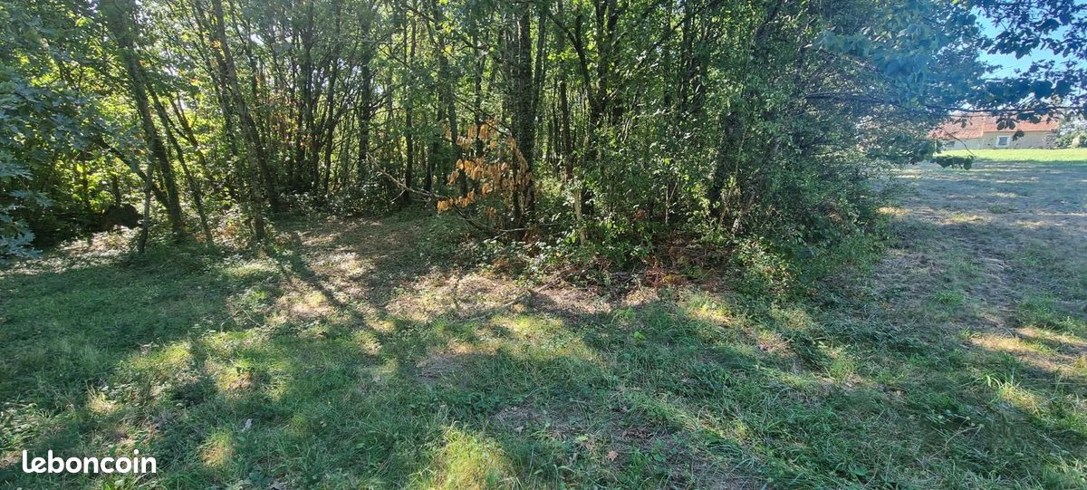 Terrain 2 900 m² Domme · 35 000 €