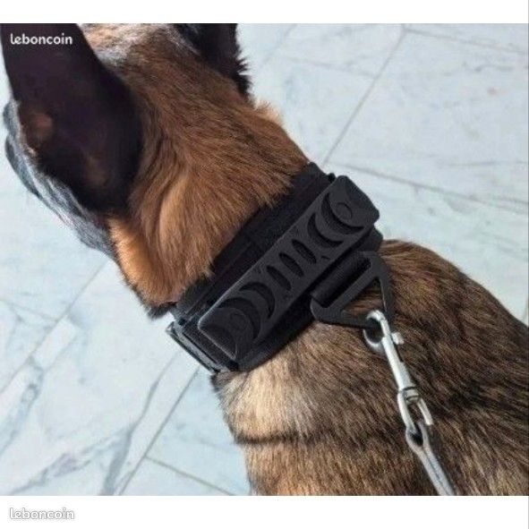 Collier chien militaire – Noir – Comme neuf (image 1)