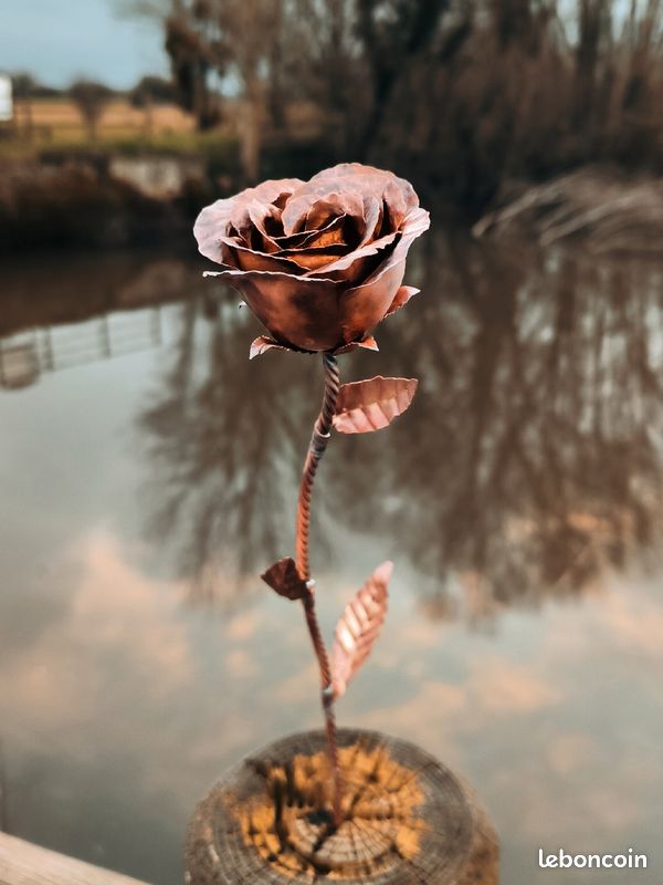 Roses en cuivre (image 1)