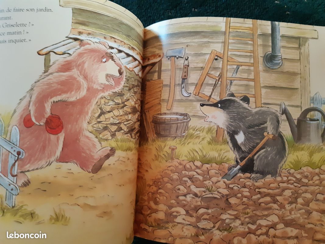 Livre FOUFOURS decouvre un secret (image 3)