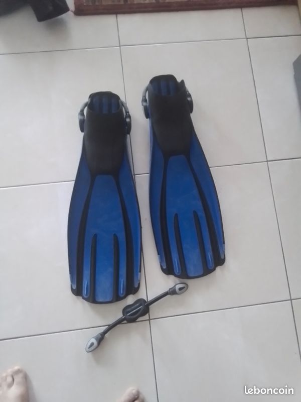 Palme sangle neuve (image 3)