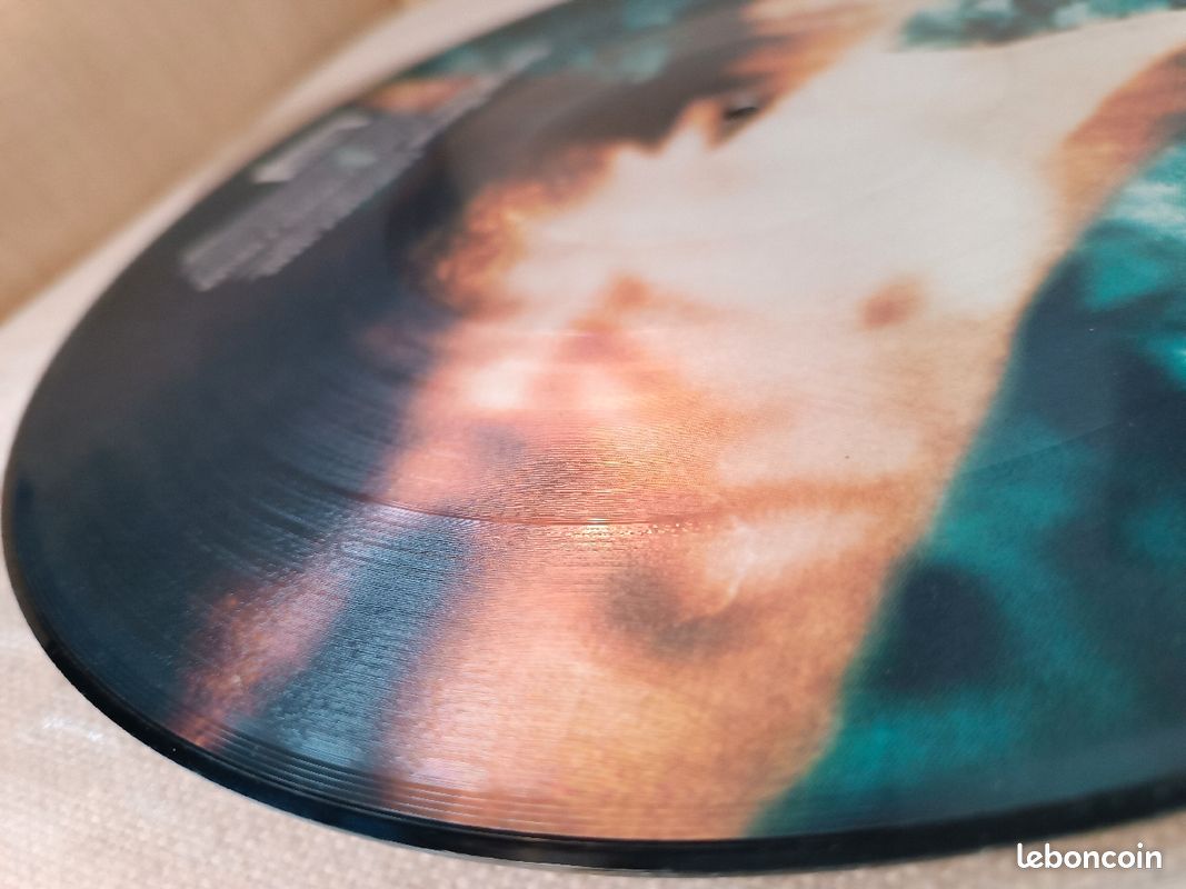 Marilyn Manson - Disposable teen (vinyle) (image 4)