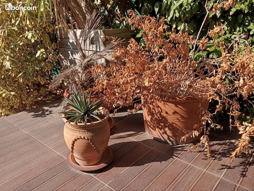 Pots en terres cuites (image 1)