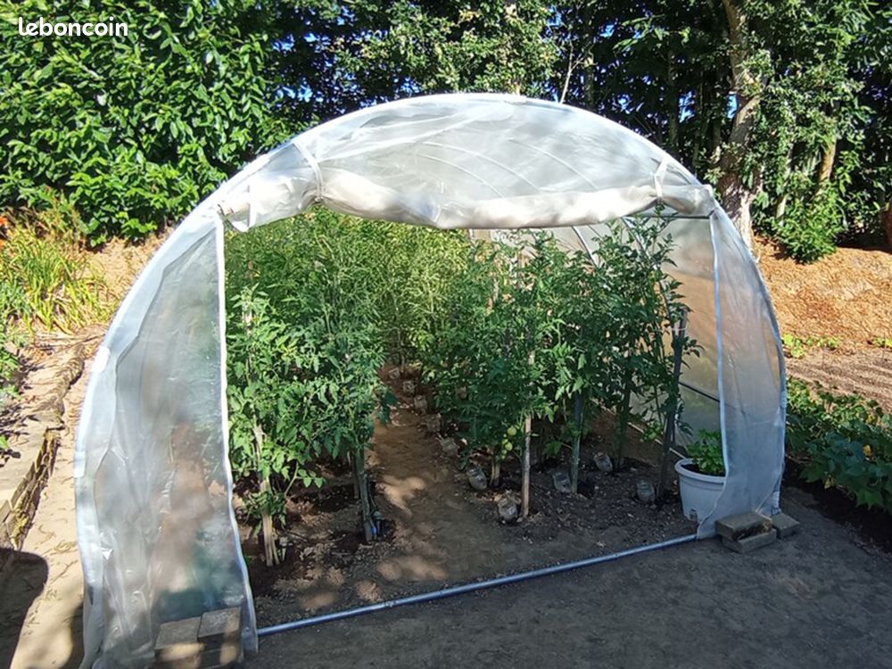 Serre de jardin tunnel 3x4m (12m²) diam.25mm avec bâche translucide et 1 porte enroulable (image 2)