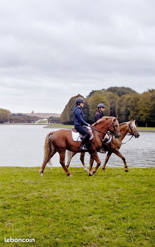 Balade à Cheval au Château de Versailles - Évènements