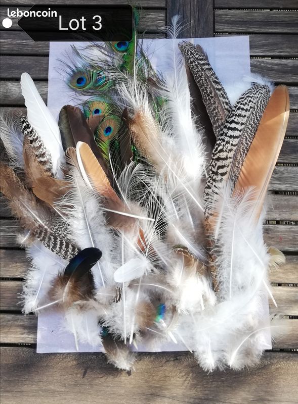 IHUFeather Lot De 100 Plumes œil De Paon Naturelles Pour Loisirs Créatifs, Arrangements Floraux, Mariage, Décoration De Maison Et De Fête - 25,4 à 30,5 Cm - Naturel