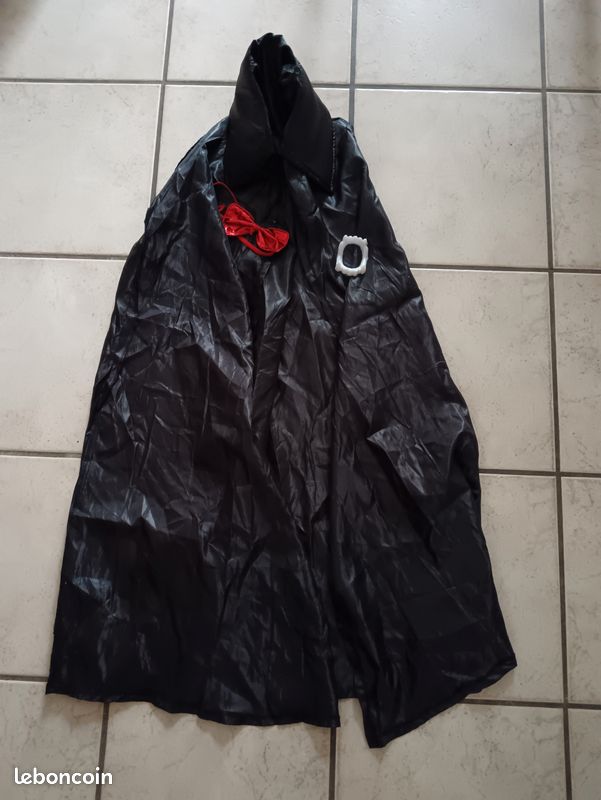 Déguisements d'halloween (image 4)