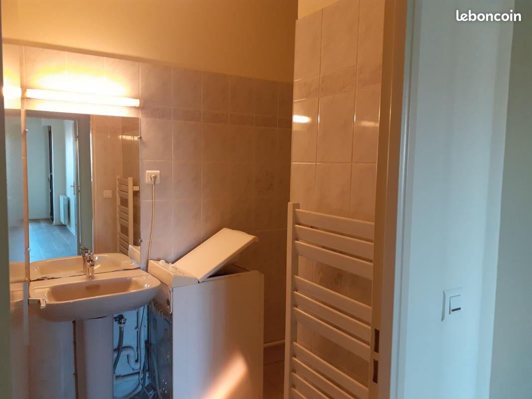 Appartement 2 pièces 54 m² - Brive-la-Gaillarde 19100 (image principale 5)
