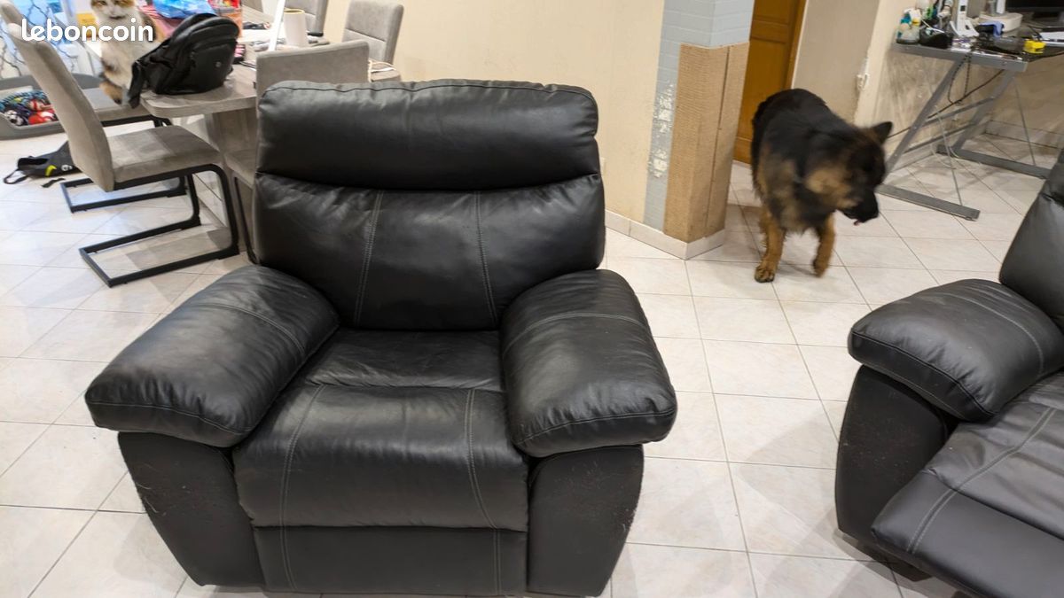 Fauteuil relax (image 1)