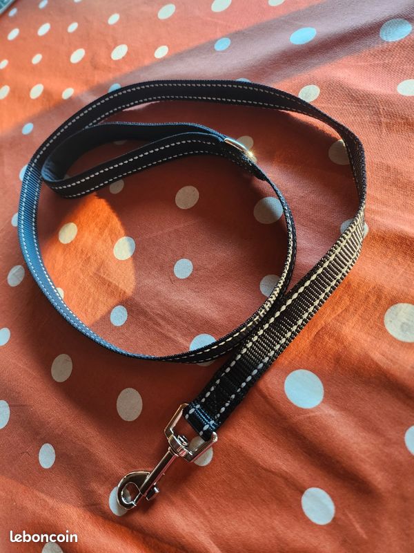 Laisse pour chat et chien - Neuve (image 1)