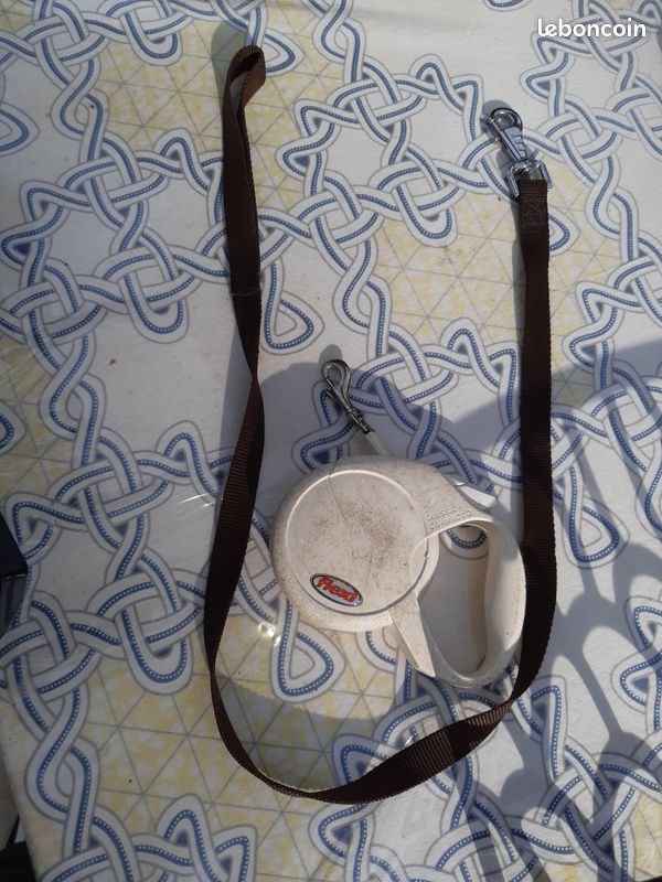 Laisses pour chien (image 1)