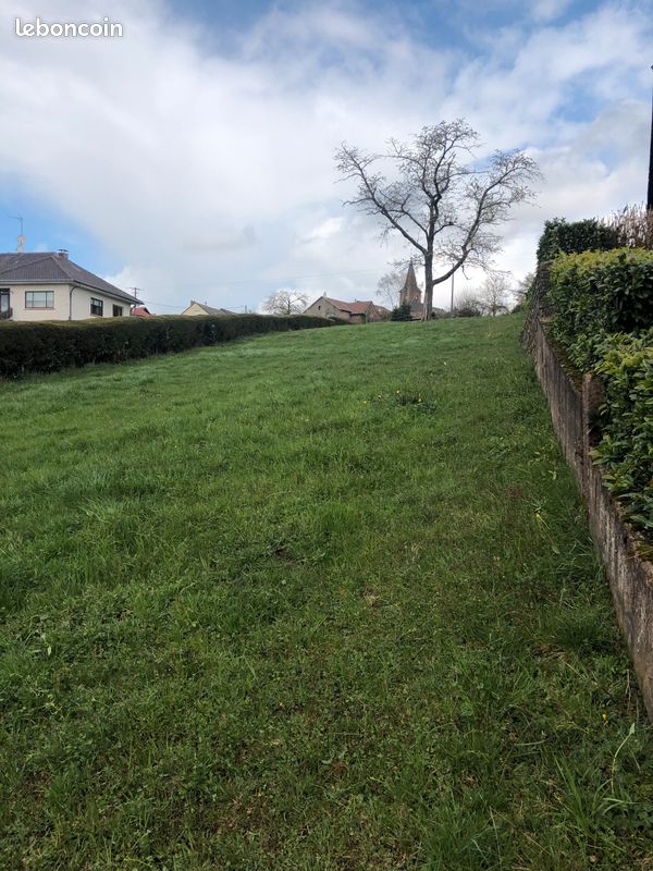 Terrain de 9,93 ares constructible à Dannelbourg · 43 900 €