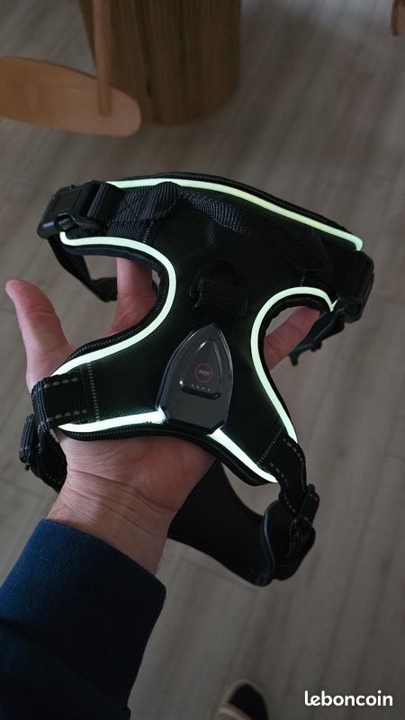 Harnais led lumineux pour chien (image 3)
