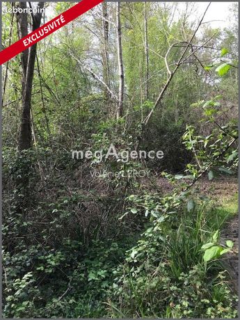 Terrain 34500 m² AILLAS