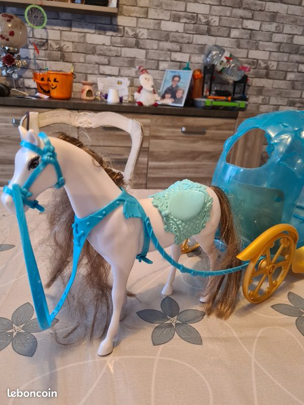 Carrosse et cheval (image 4)
