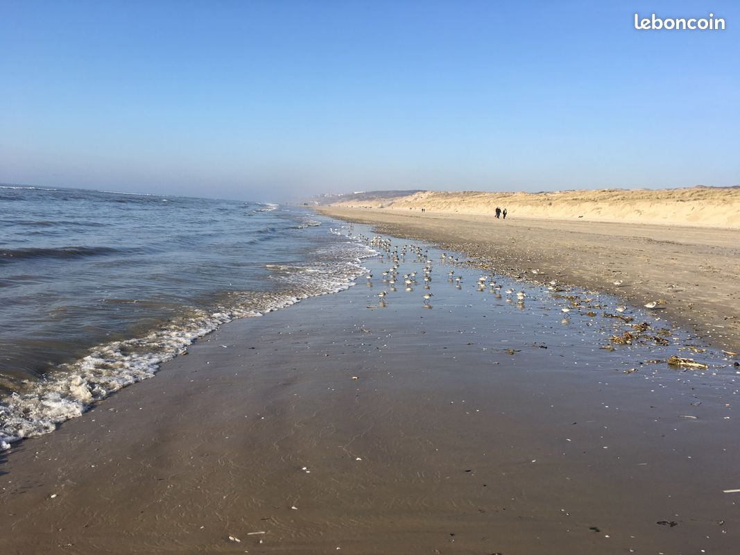 Vue 360° sur plage, ciel et mer, à Hardelot, à 150 mètres des commerces - Location Appartement F2 (image 9)