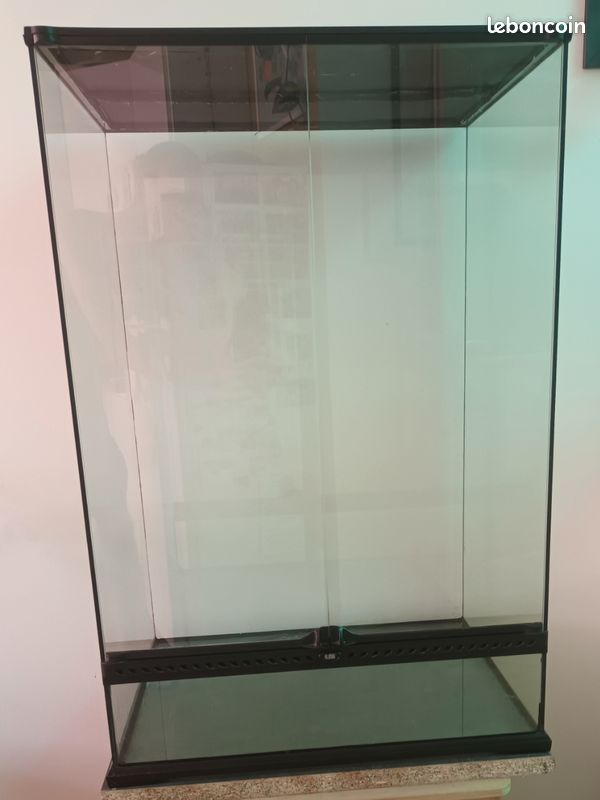 Grand paludarium / terrarium (image 3)