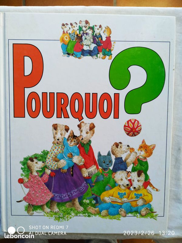 Bruno Balzano (texte) / Annie Bonhomme (illustrations), Pourquoi ?, Celiv, 1996 (image 1)