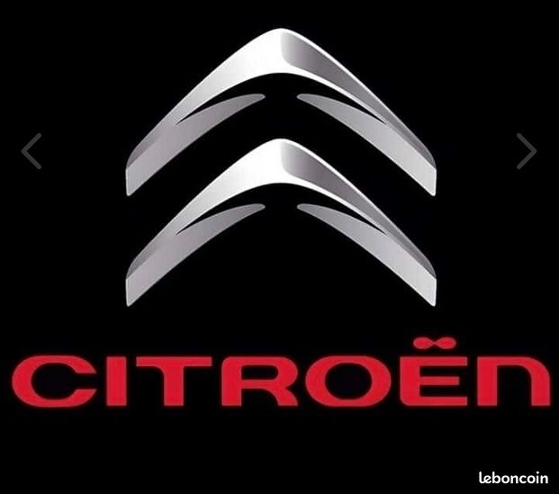 Éclairage d'ouverture de porte Citroën (image 2)